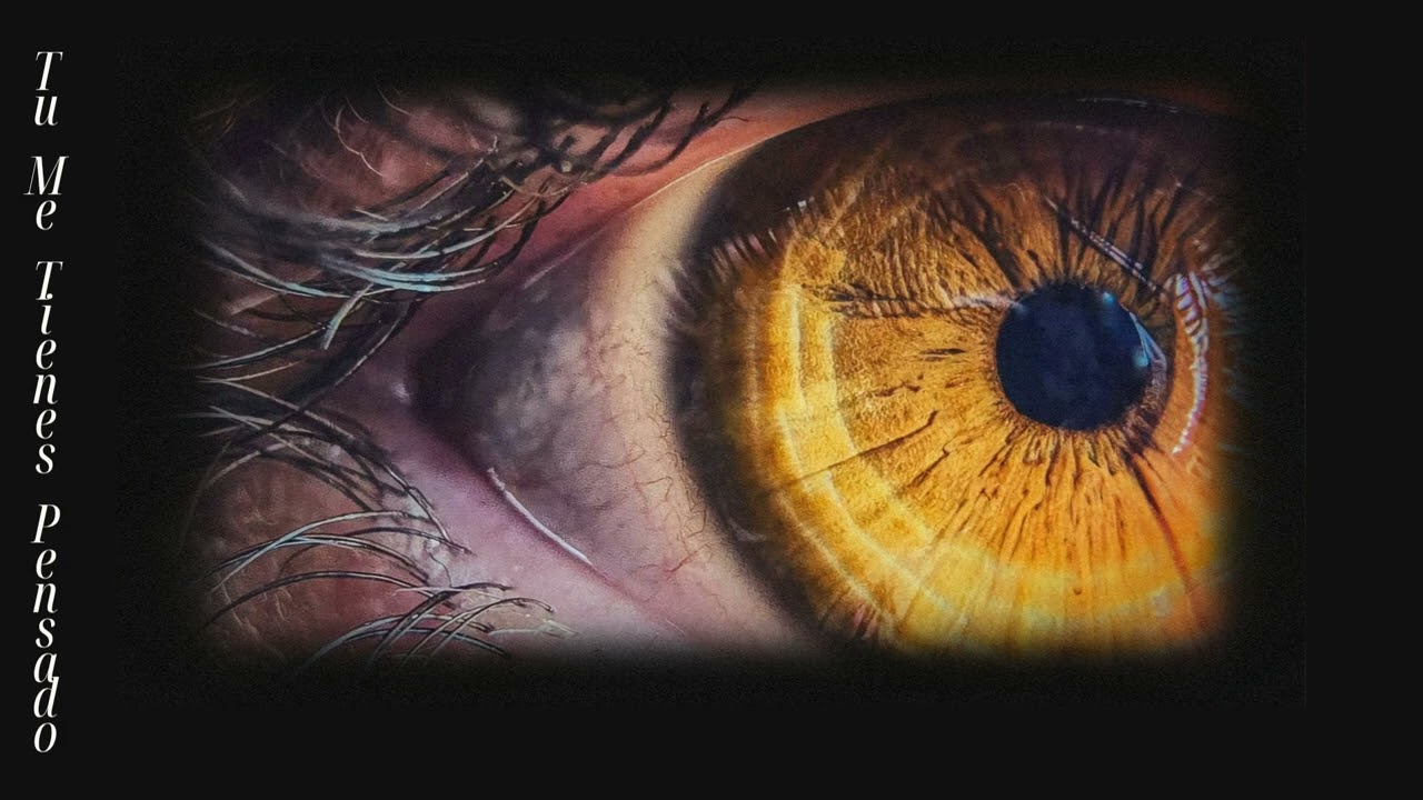 Tu Me Tienes Pensando | UkiyoColours 