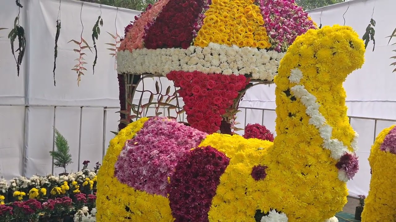 Flower show @akp