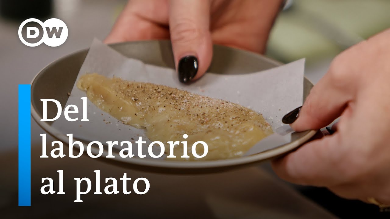 Carne de pollo cultivada en el laboratorio