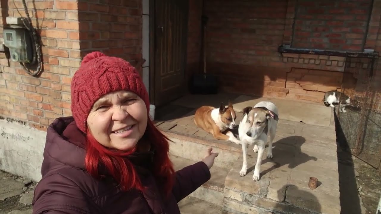 ДУЖЕ ГЕПАЛО!СВІТЛА БАГАТО І ВЖЕ ТЕПЛО НАВІТЬ КВІТИ ПОСХОДИЛИ!ОГЛЯД ГОСПОДАРСТВА ТА ПОКУПОК З ЦІНАМИ!