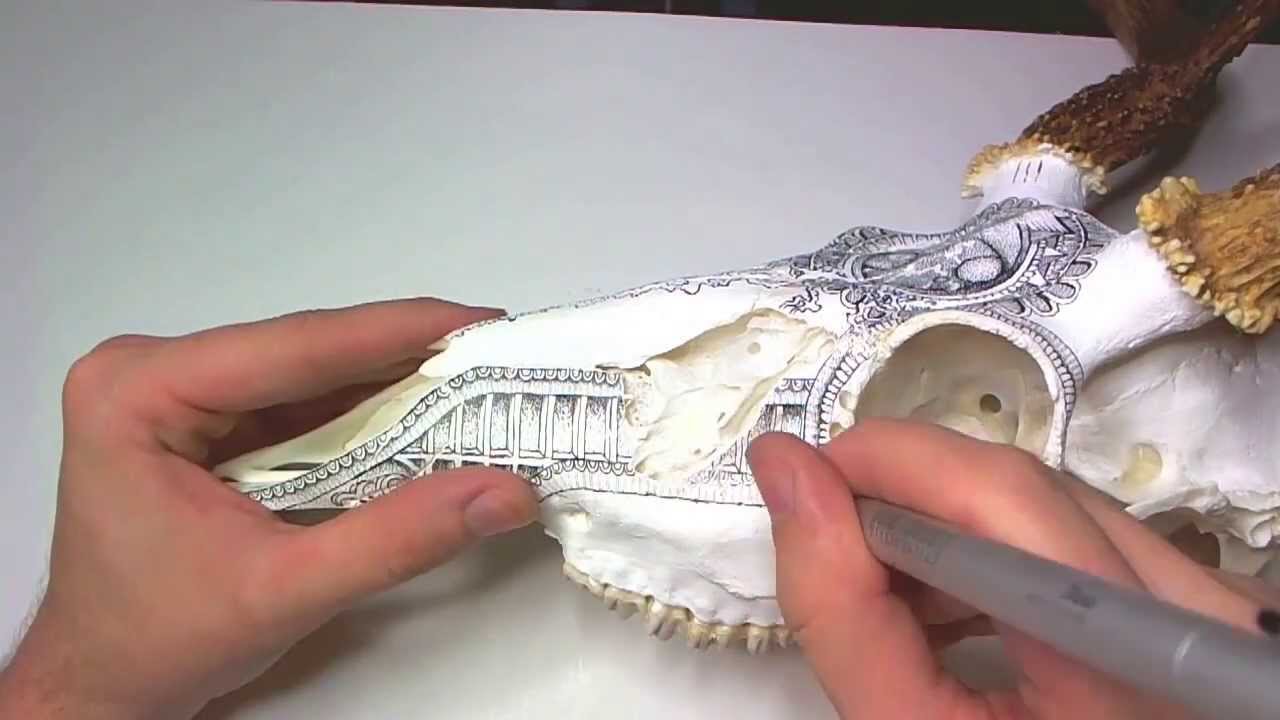 Drawing on a Deer Skull