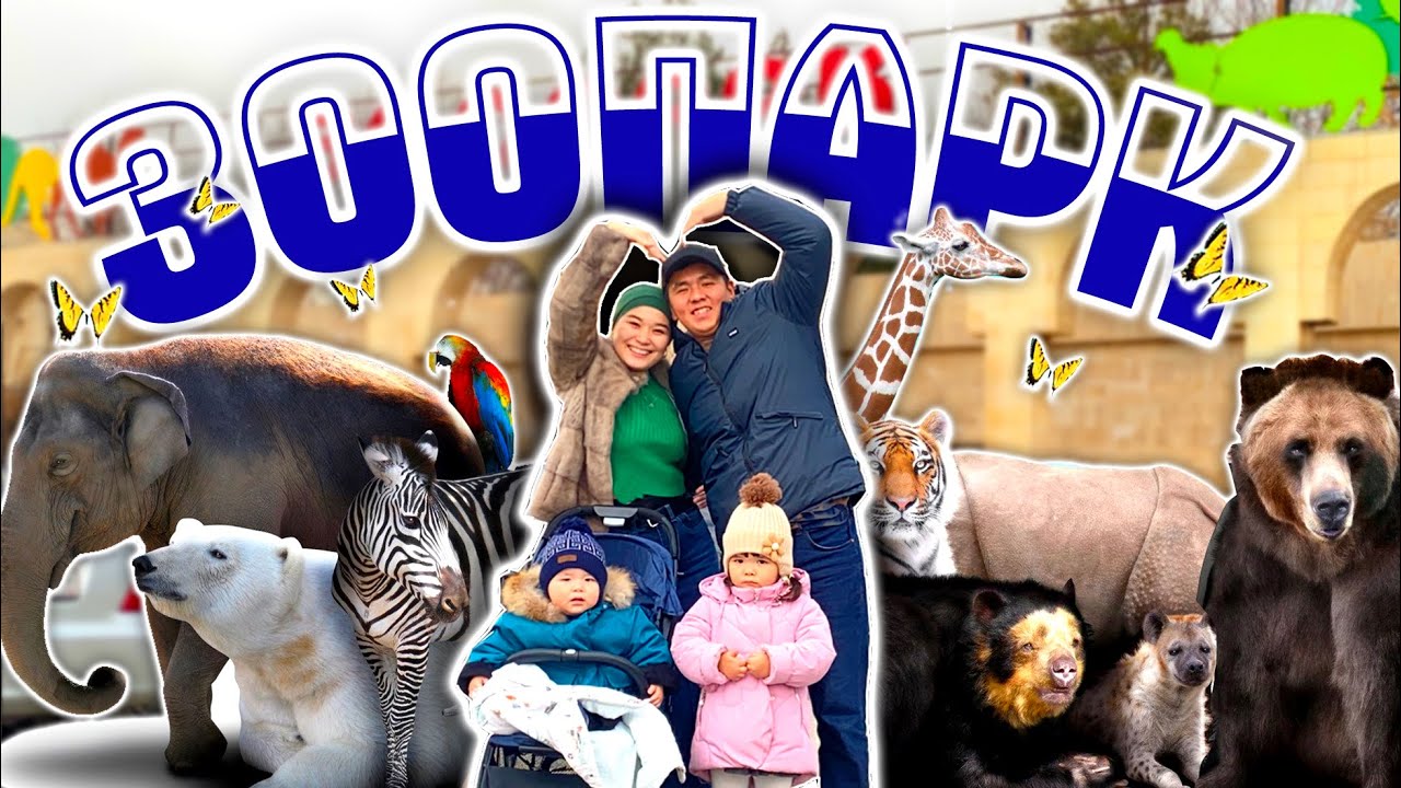 🎬VLOG: ЗООПАРК ШЫМКЕНТ🦁🐯🦒🐏🦢🐗🐵🐶 БАЛДАРДЫ ҚЫДЫРТТЫҚ