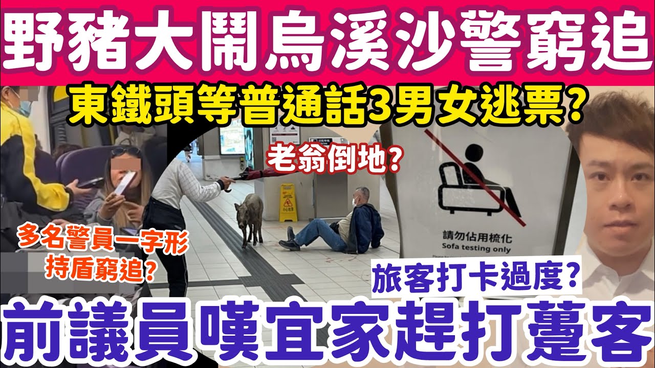 有片！野豬大鬧烏溪沙站老翁倒地警窮追？旅客打卡過度致宜家傢俬趕打躉客？27-2-2026