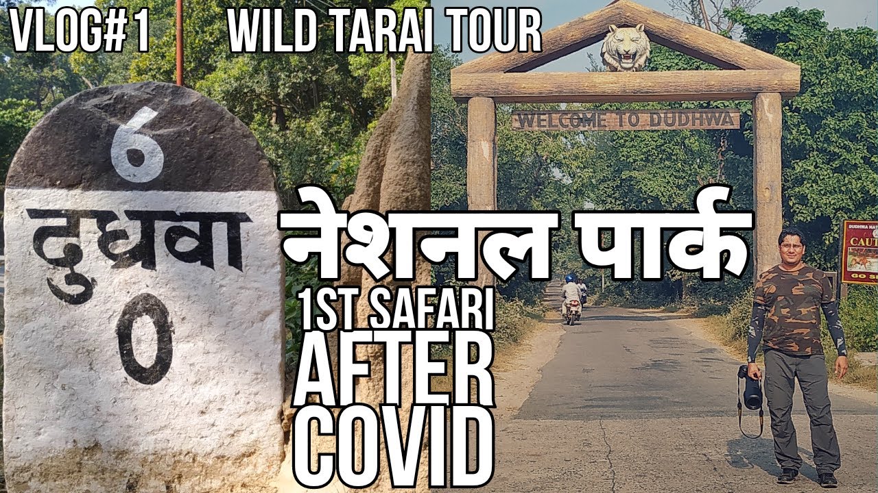 First jungle safari after COVID | Dudhwa National Park | Vlog#1 | Wild Tarai Tour | 4K