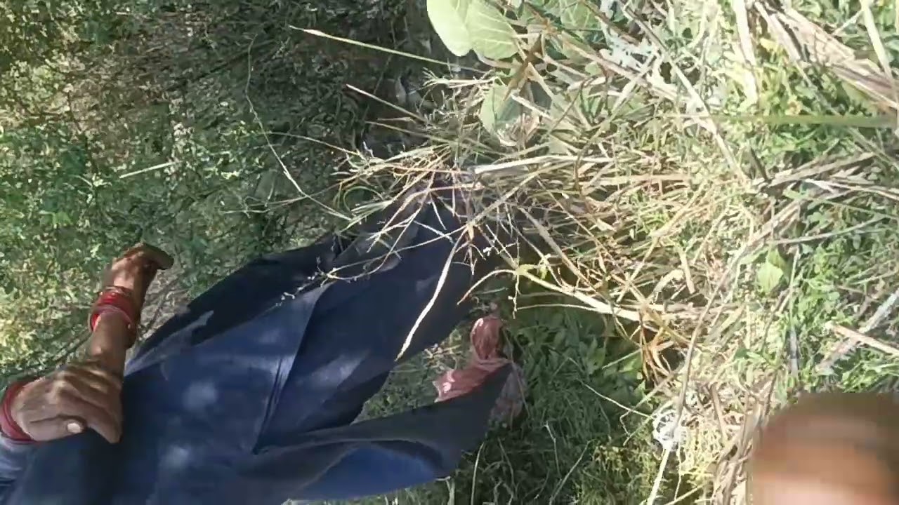 डाल्यूं मा खेलनी झूला🤗🤗🤣🤣🙏🙏