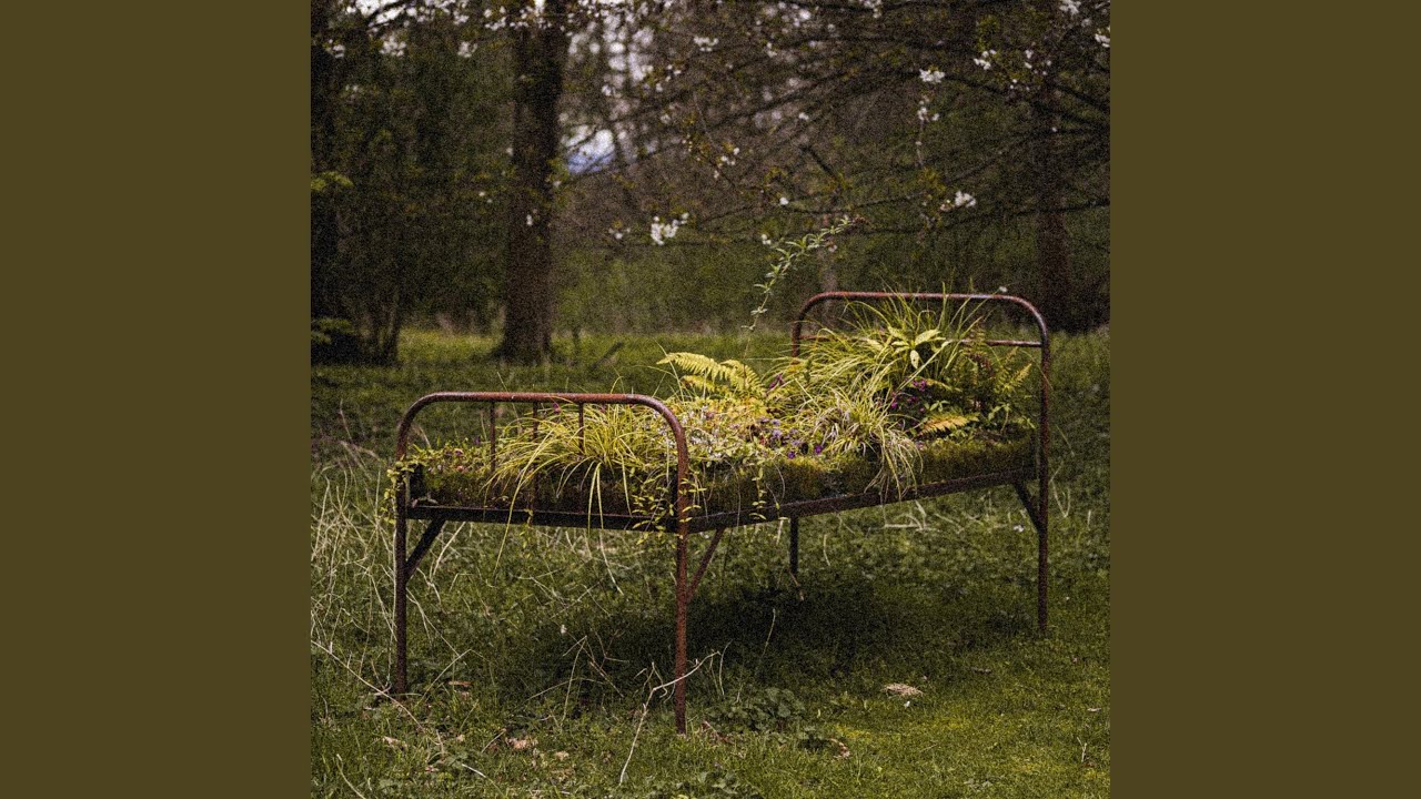Moss