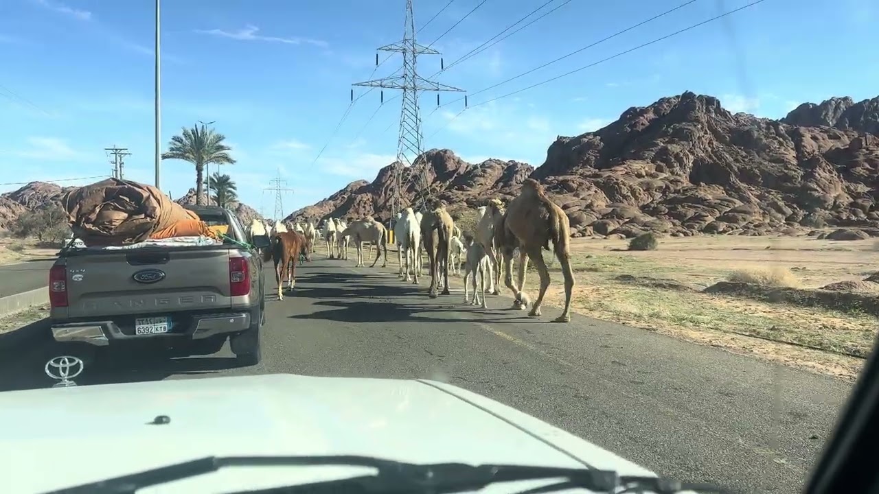 ١٥ فبراير، ٢٠٢٦