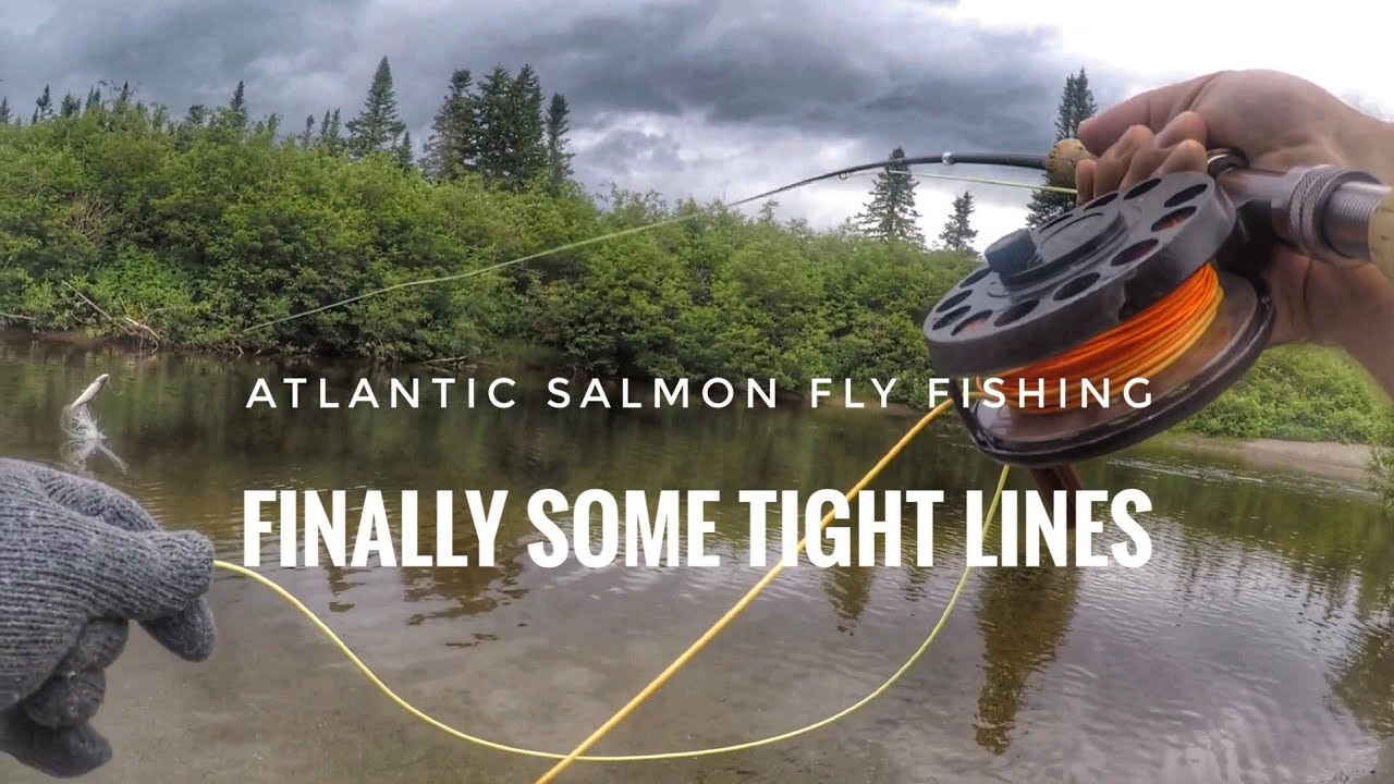Newfoundland Salmon fishing in hot weather......with success!