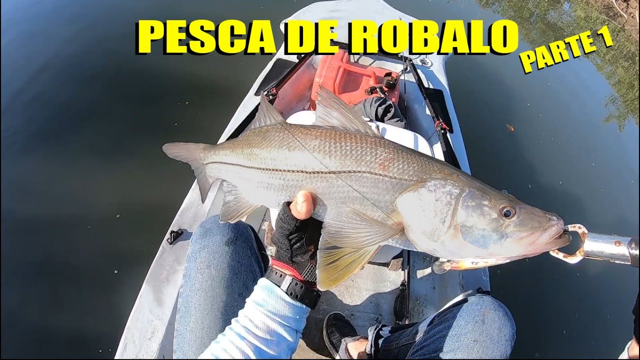 Como pescar ROBALO con LupeLofish PARTE 1