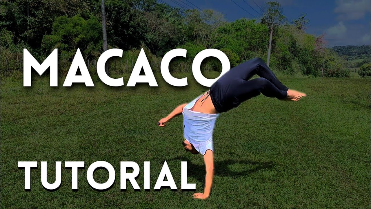 Jornada até o mortal #1 | TUTORIAL MACACO