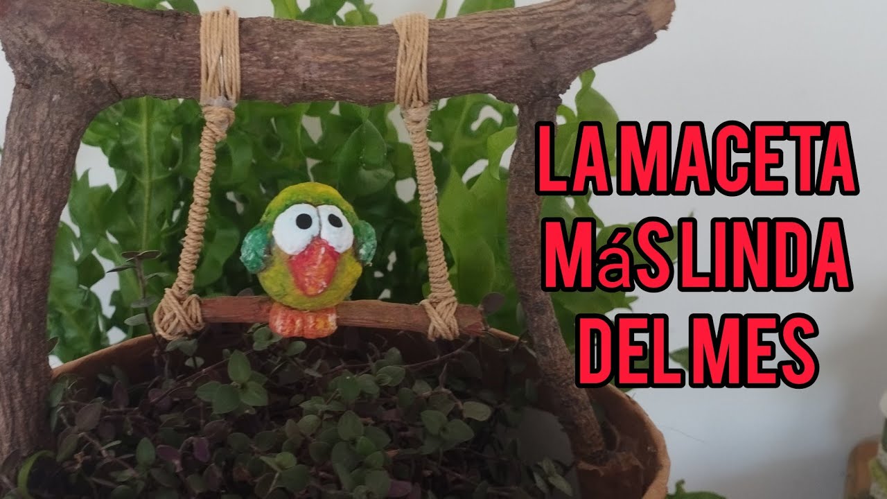 Tú puedes hacer macetas lindas con muy pocos recursos! 