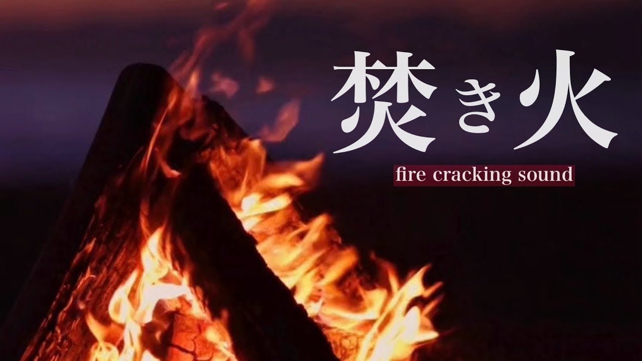 【深く眠れる8時間】🌊海辺の焚き火ASMR 🔥心があたたまる時間🔥Coastal Campfire ASMR – Calm Your Mind, Deep Sleep【8 hours】