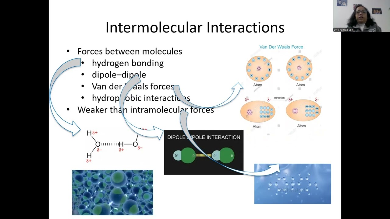 Molecules and Ions