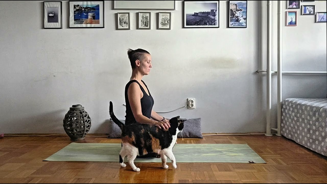 After Work Transition Breath | 5 Minutes Yoga