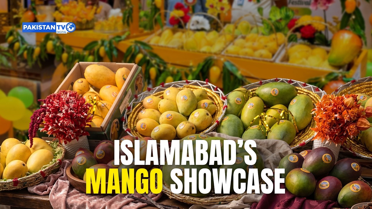Islamabad&rsquo;s mango festival showcases over &lsquo;100 varieties&rsquo;