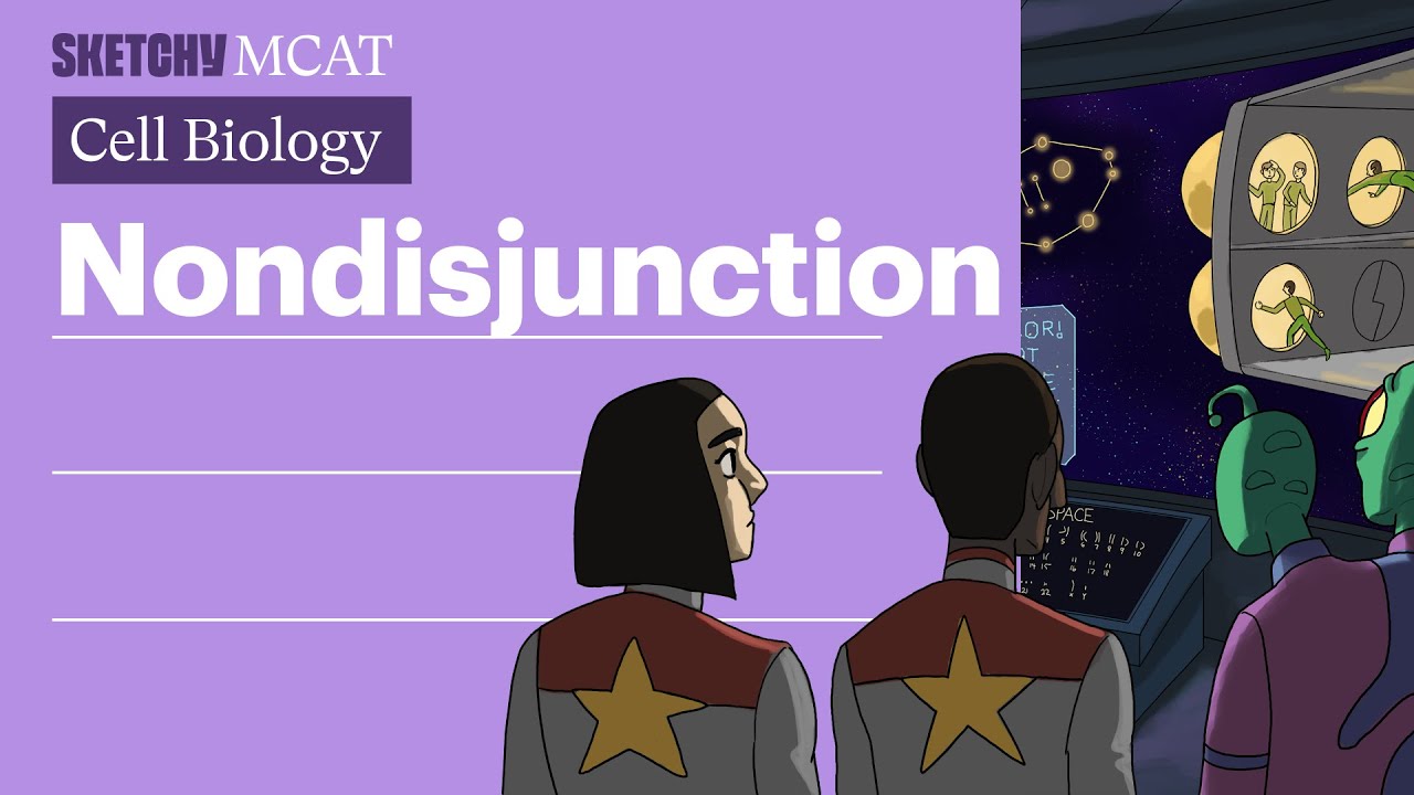 Nondisjunction Lesson: Chromosome Anomalies & Diagnosis (Full Lesson) | Sketchy MCAT