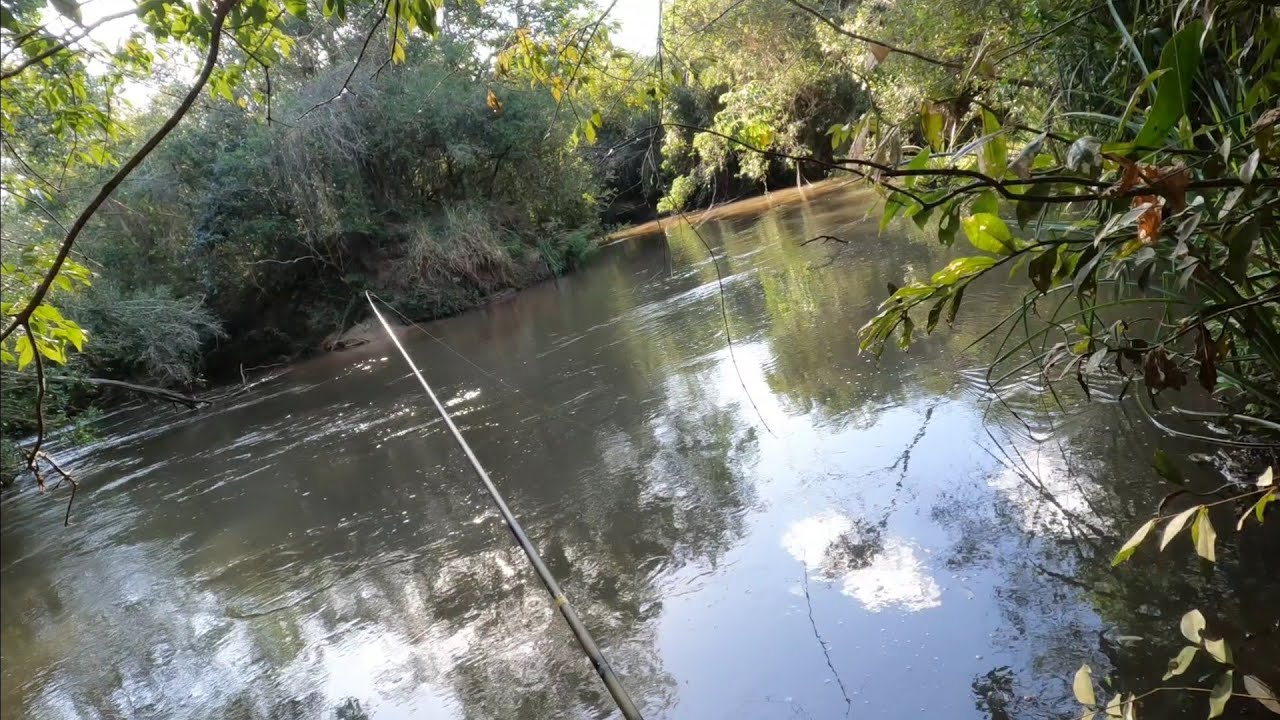 RIO NOVO, A CADA ATAQUE ERA UMA SURPRESA NESSA PESCARIA, AQUI MORA OS BRUTOS😰😨