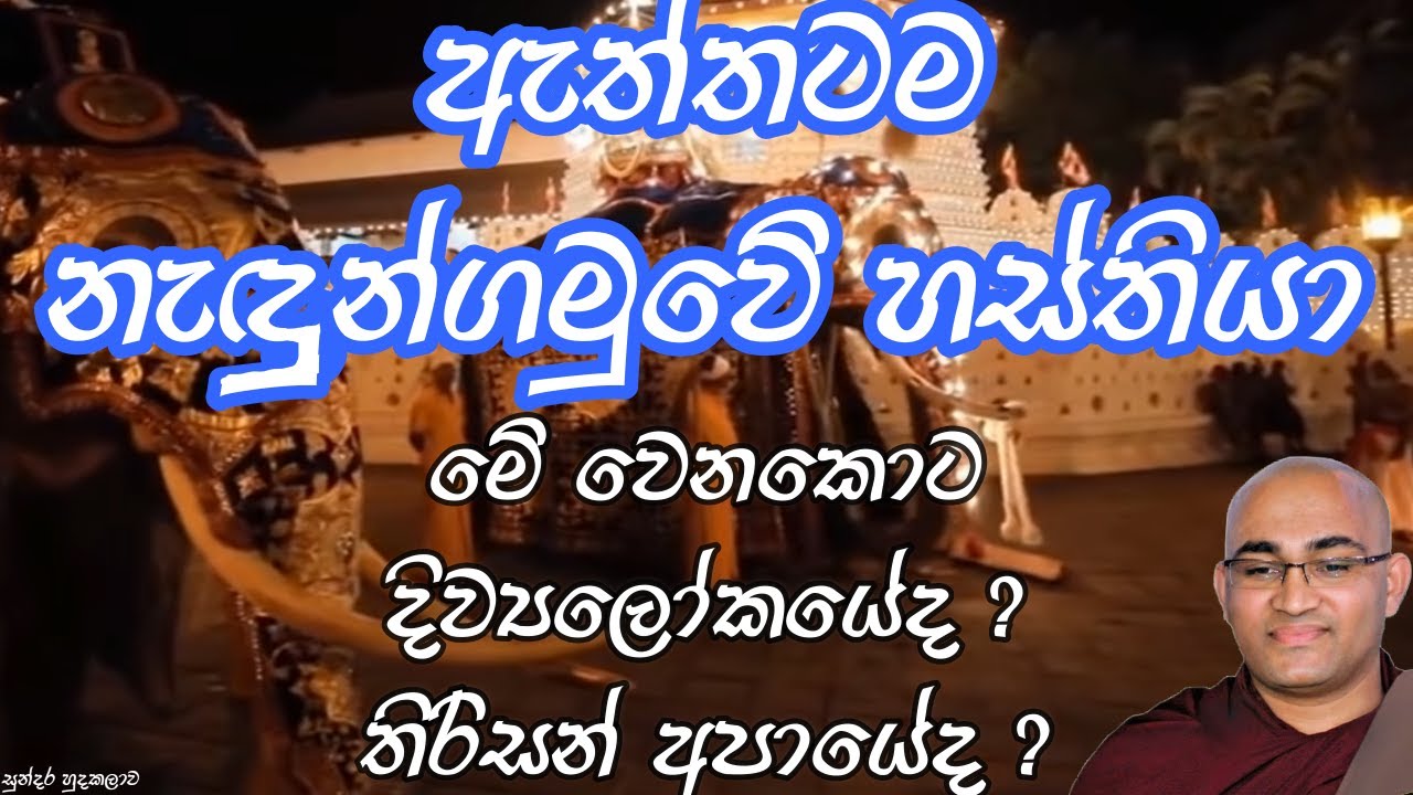 නිවන් සැප ලැබේවා යැයි ආශීර්වාද කළාට ඇත්තටම තිරිසන් සත්ත්වයෙකුට නිවන් සැප ලබන්න පුළුවන්ද?