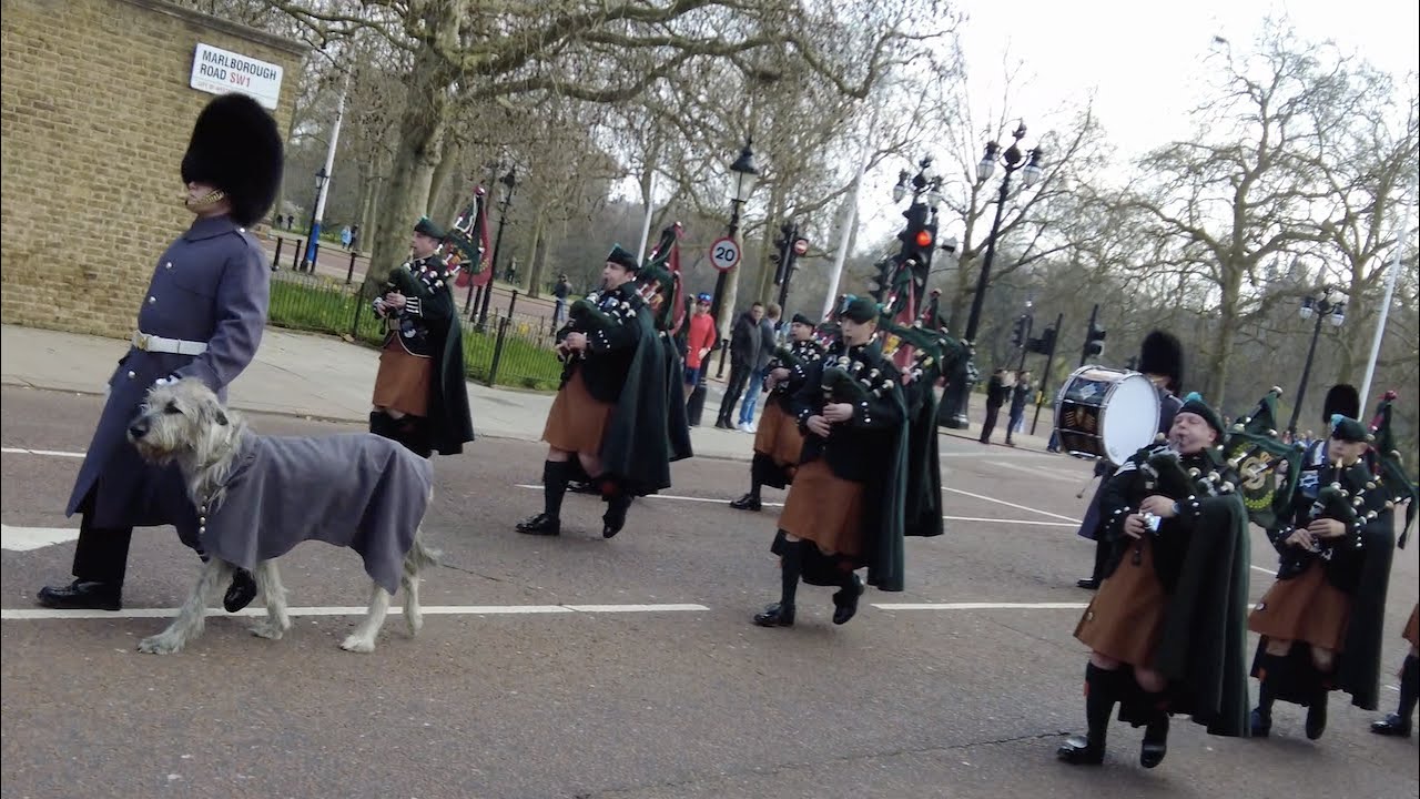 Changing The Guard: London 20/03/22