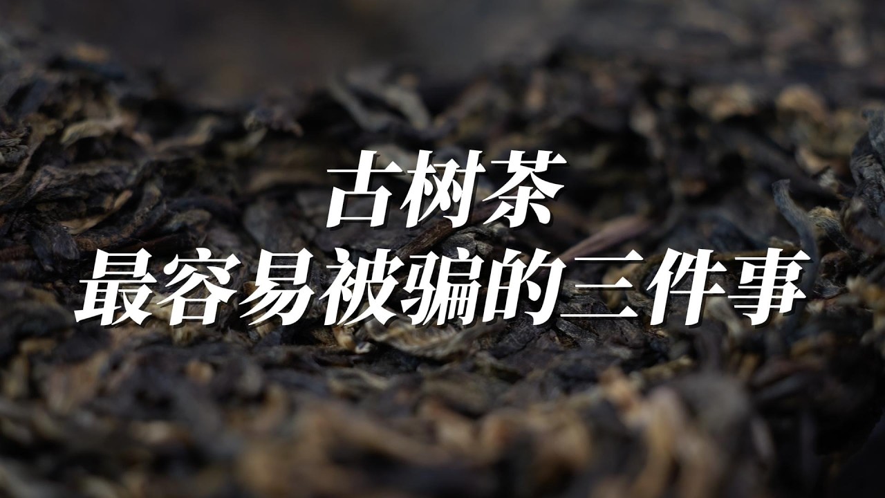 古树茶，最容易被骗的 3 件事！（别再为“假故事”买单了）| 3 Biggest Gushu Tea Scams 🚫🍵