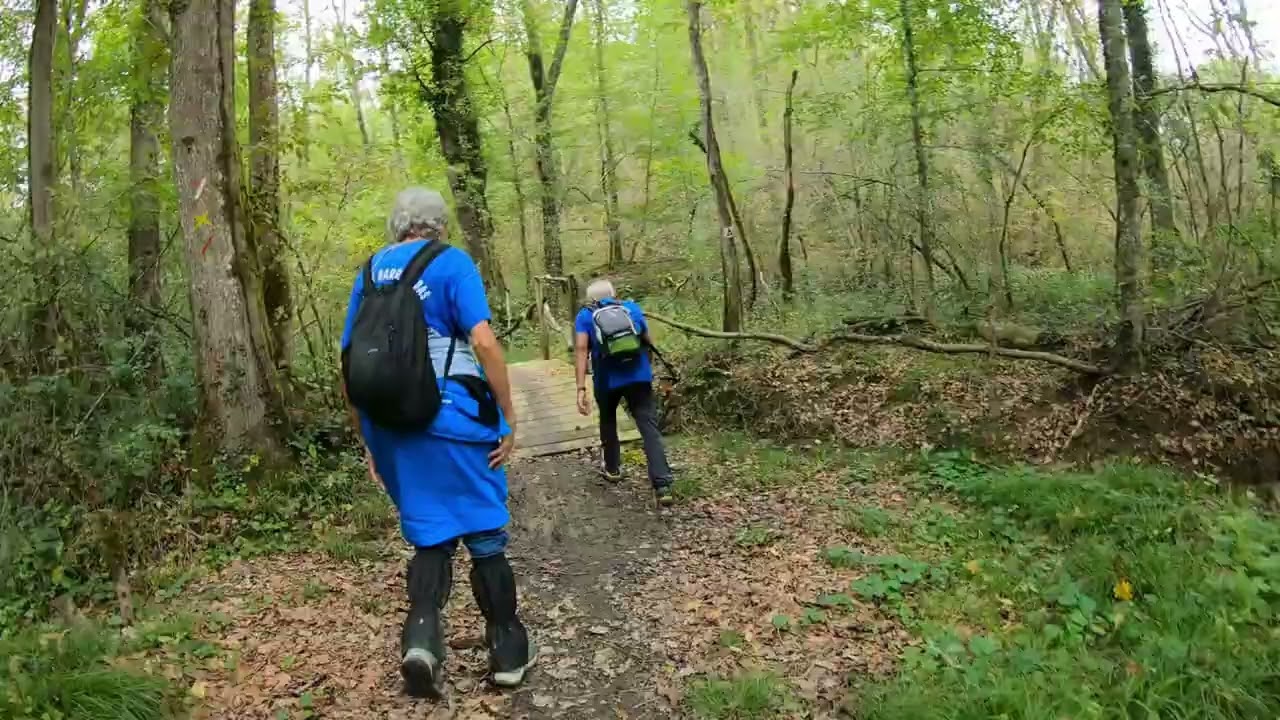 Marche des feuilles mortes (26 km)