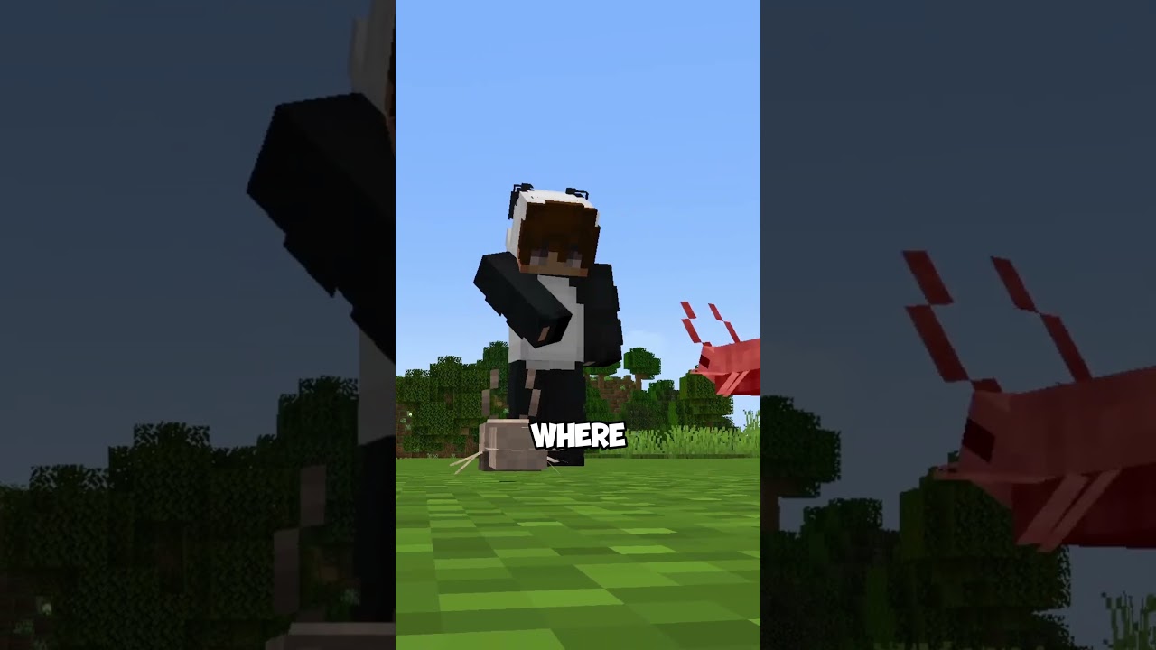 не трогайте костный улей