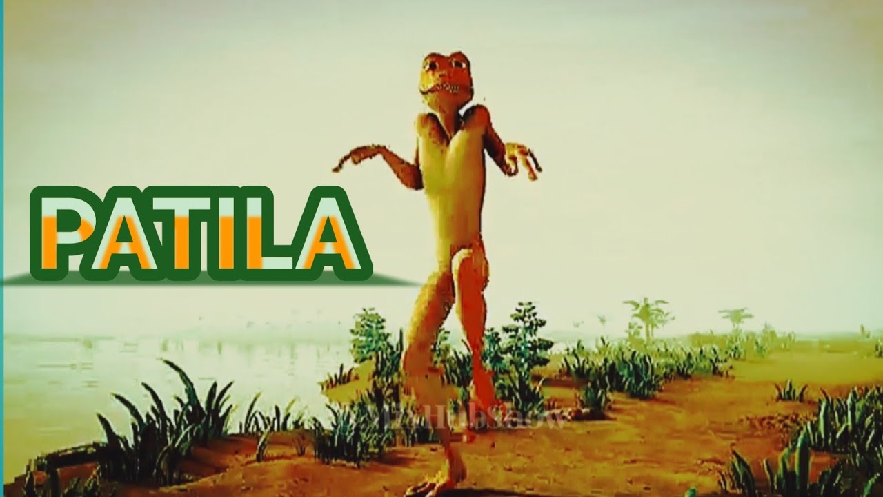 PATILA - BEYOND THE SHORE | PATILA | FROG DANCE