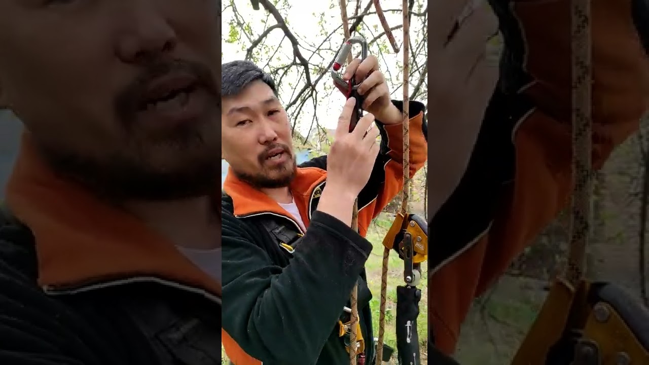 краткий обзор taz love 3 многофункциональное страховочное устройство для промальпа и арбористики