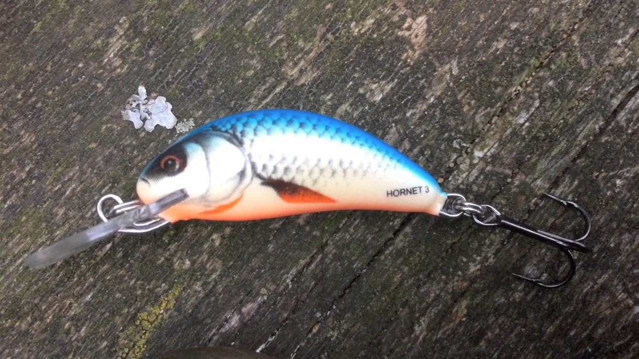 Hornet wobleren fra Salmo er også effektiv i put and take
