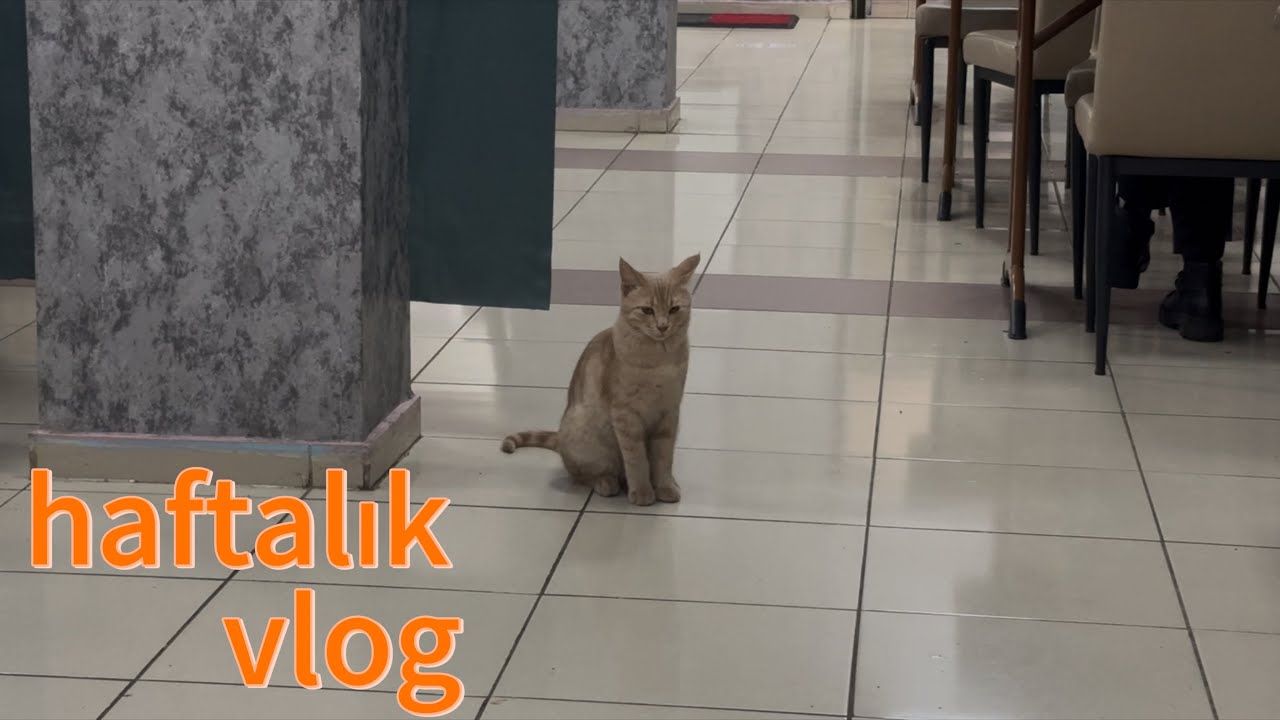 bir haftalık vlog (bahar döneminin ilk haftası)