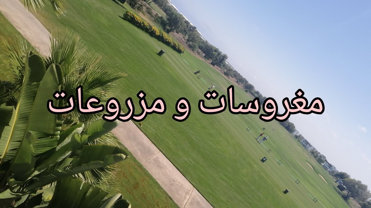 😍مغروسات و مزروعات😍