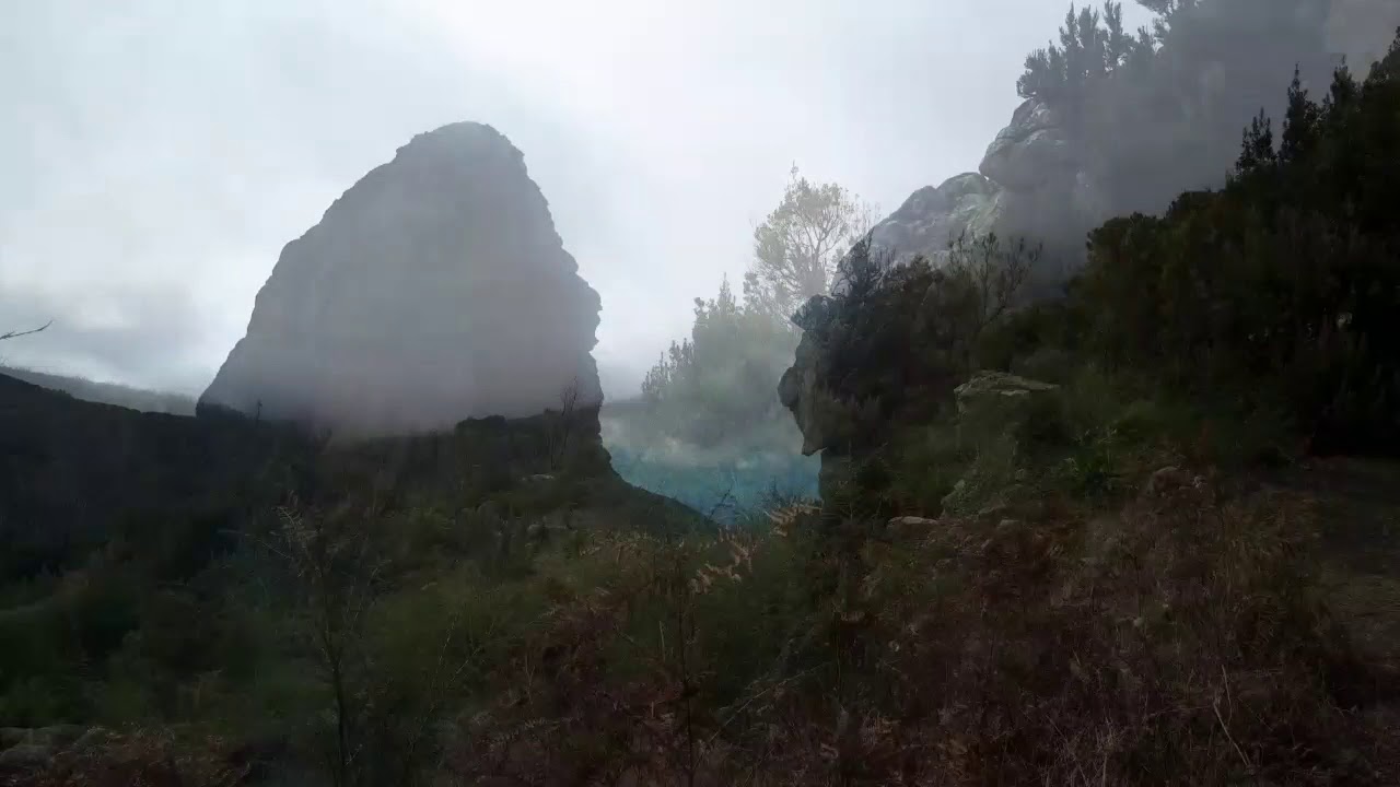 Wanderung im Lorbeerwald auf La Gomera