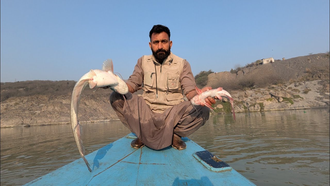 Wasil Fish Hunter  is live!