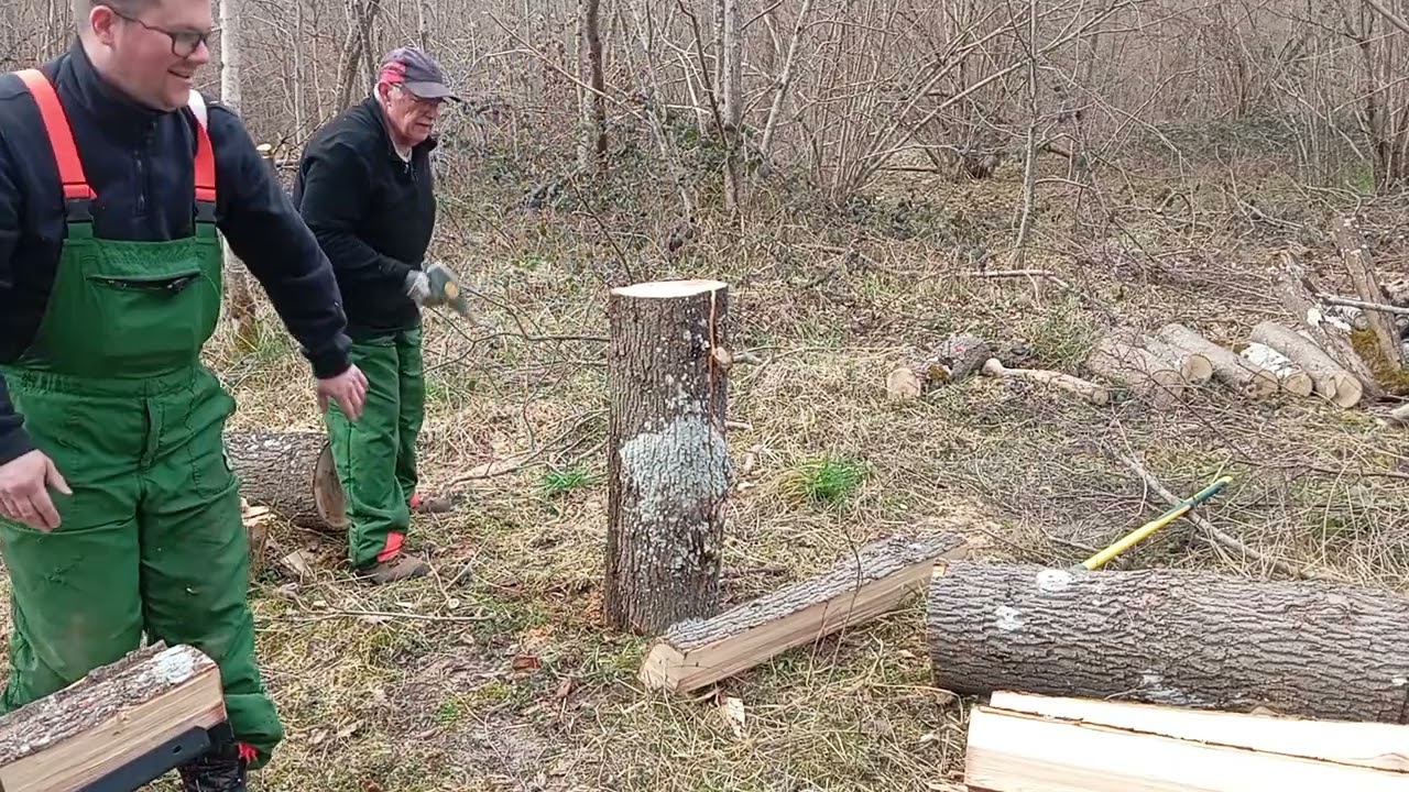 Journée aux bois partie 2 fendage de bois et chargé sur la remorque, avec merlin Leborgne 🪵🪵🪵🪵🌳🌳 