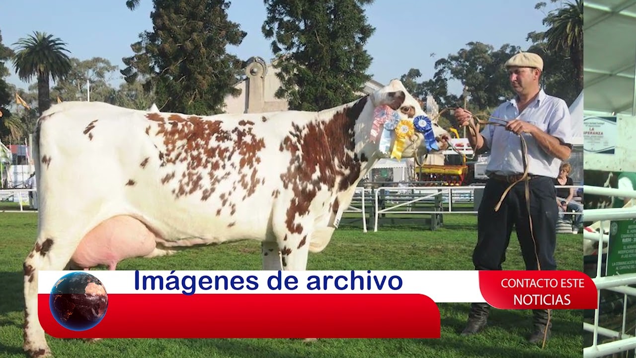 Establecimiento 