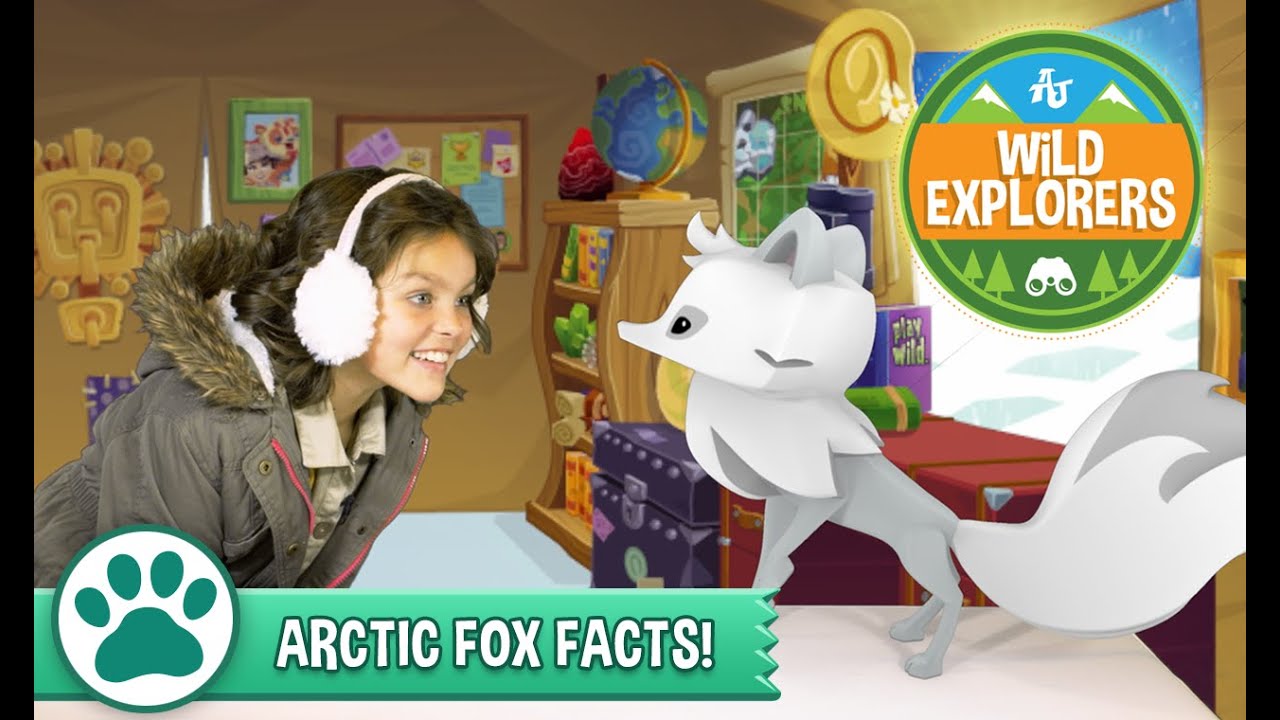 Wild Explorers - Arctic Fox Facts