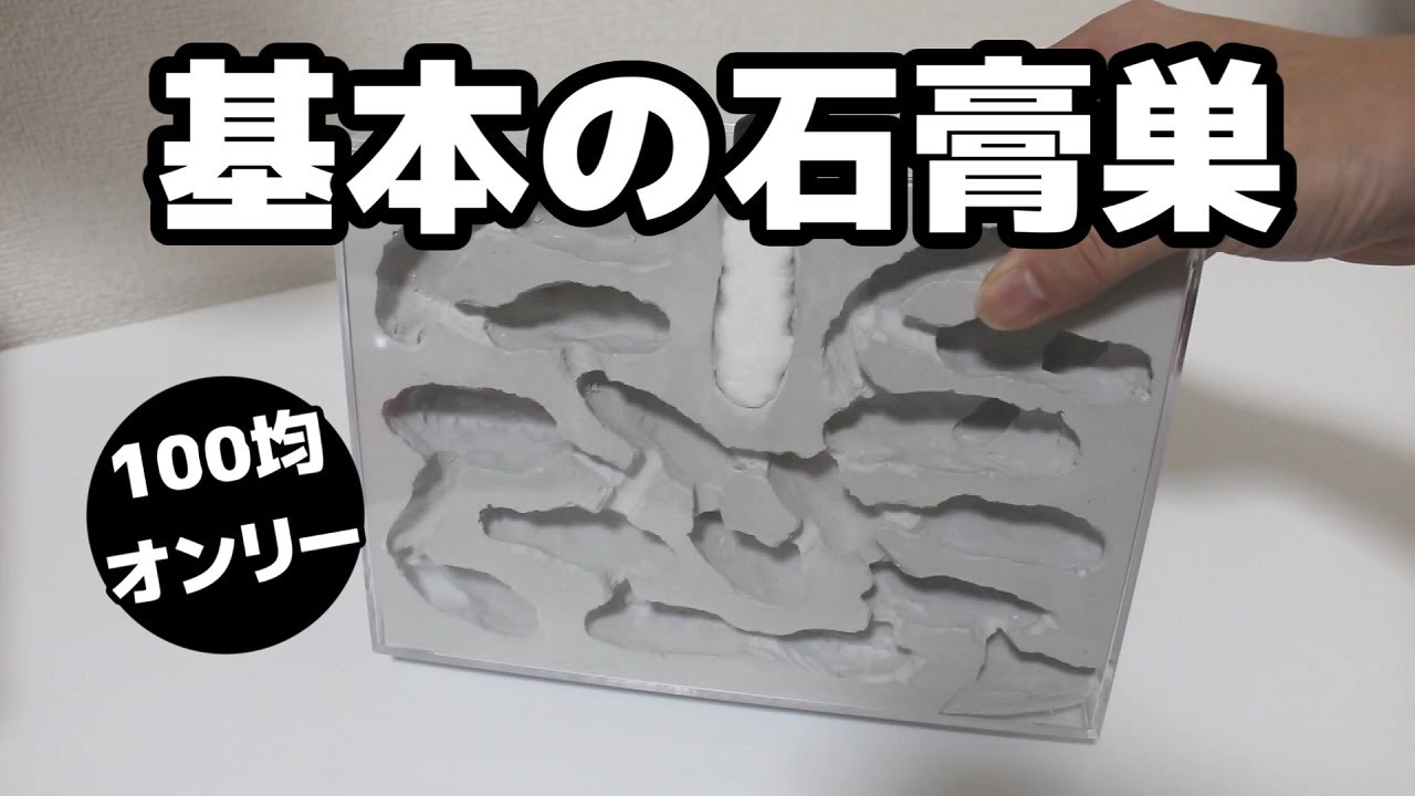 【アリの飼育記2冊目＃73】100均だけで作る巨大アリの巣の作り方【基本の基本】