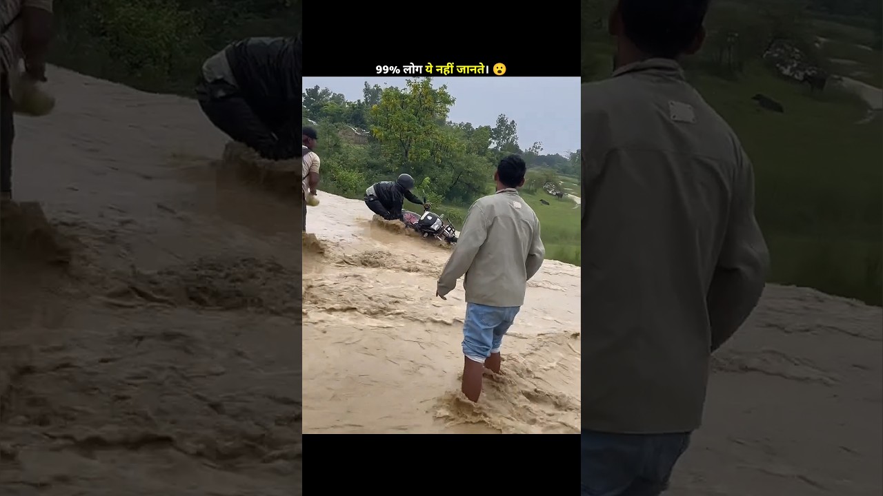 How to Survive a Flood💡