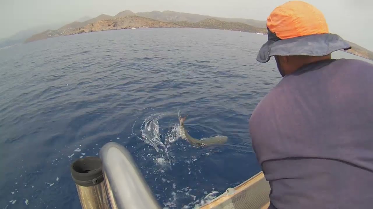 Slow pitch jigging - amberjack 12.5kg