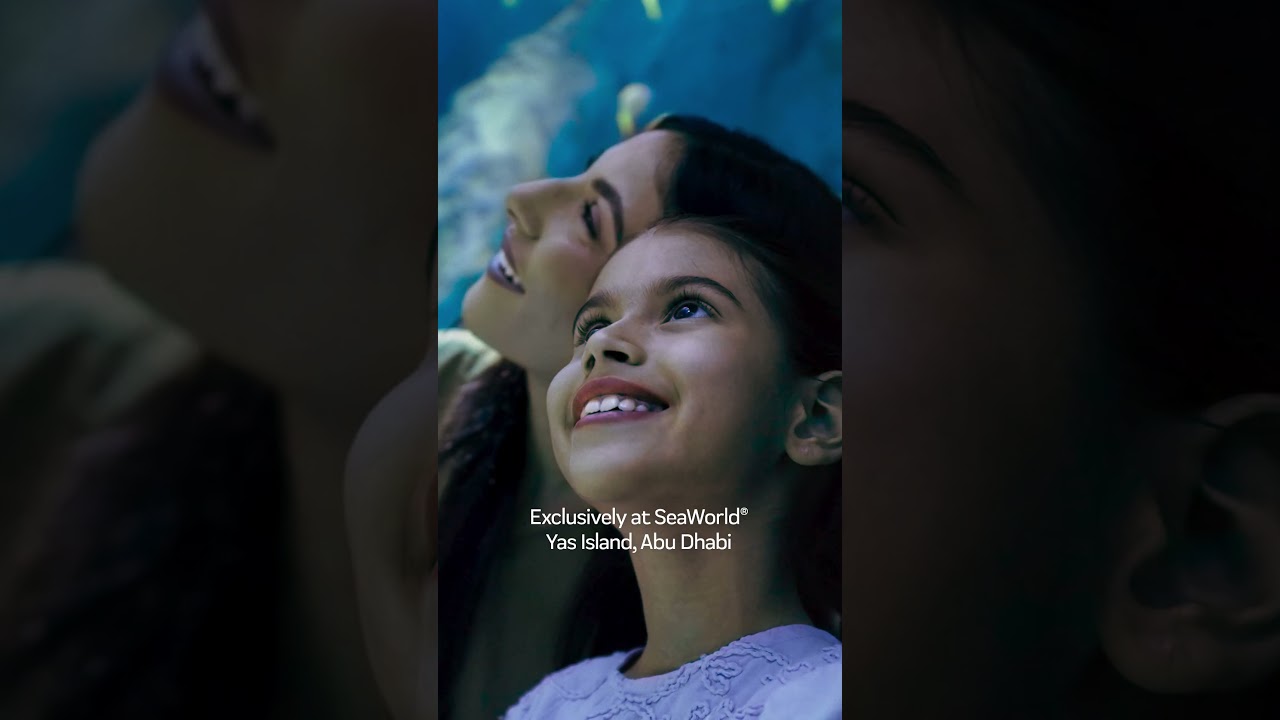 Meet SeaSub: The World's First Submersible Experience in an Aquarium!