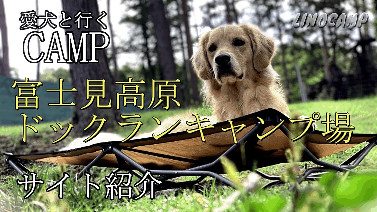 【キャンプ場紹介】愛犬と行く富士見高原ドックランキャンプ場/愛犬の笑顔が溢れるキャンプ場