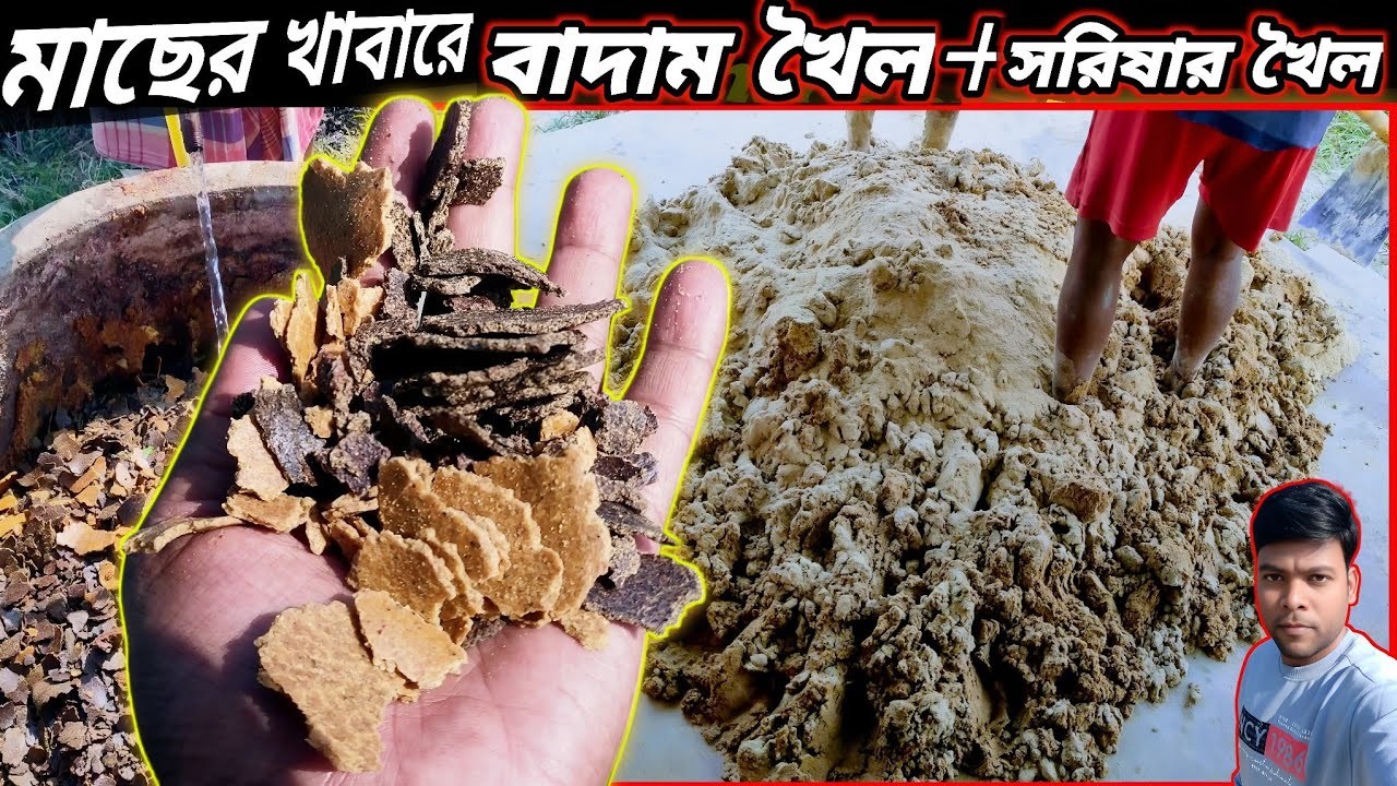 মাছের খাবারে সরিষার খৈল ও বাদাম খৈল কি পরিমান ব্যবহার করবেন / mustard cake and peanut cake