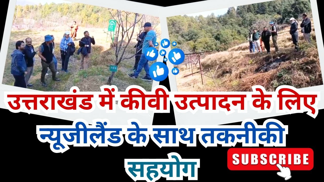 रानीखेत : उत्तराखंड में कीवी उत्पादन को मिलेगा विदेश सहयोग