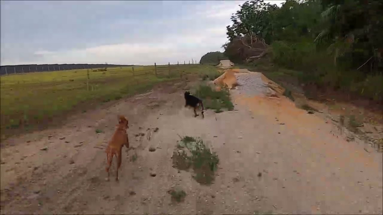 Fireball, Amber & Maggie @ Maggieville 5 10 25