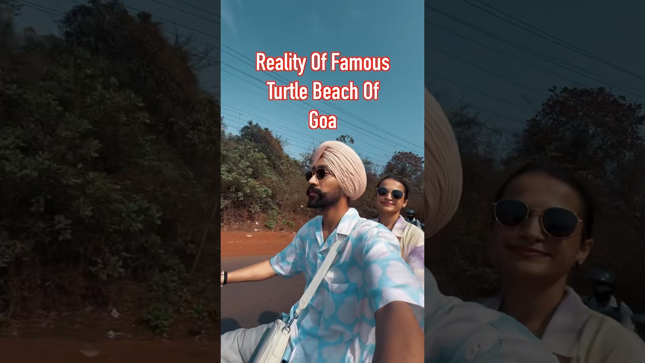 Turtle beach goa reality check #rajanluthra #funny #comedy #travel #goa #goabeach #shorts