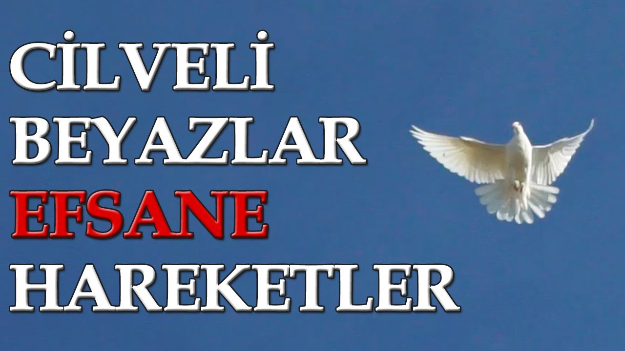 ALA TÜRKİYE - YouTube Kanalı Açılış Videosu (Cilveli Beyazlar Havada)