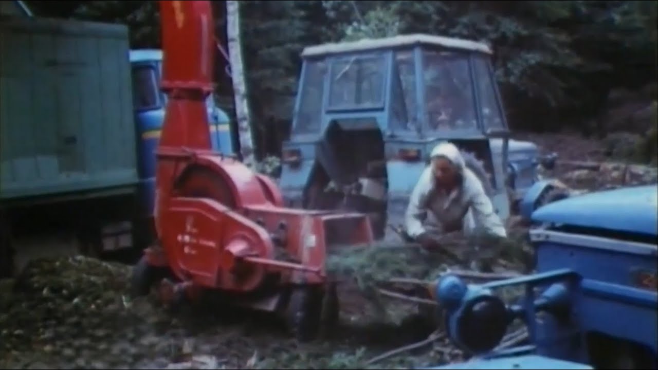Lesy – naše bohatstvo (1983)