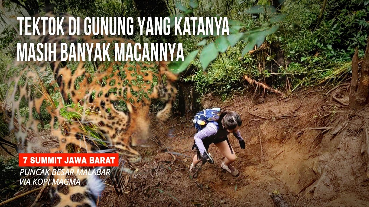 AKHIRNYA ‼️ TUNTAS SUDAH 7 SUMMIT JAWA BARAT | Puncak Besar Malabar Via Kopi Magma #srvlog12