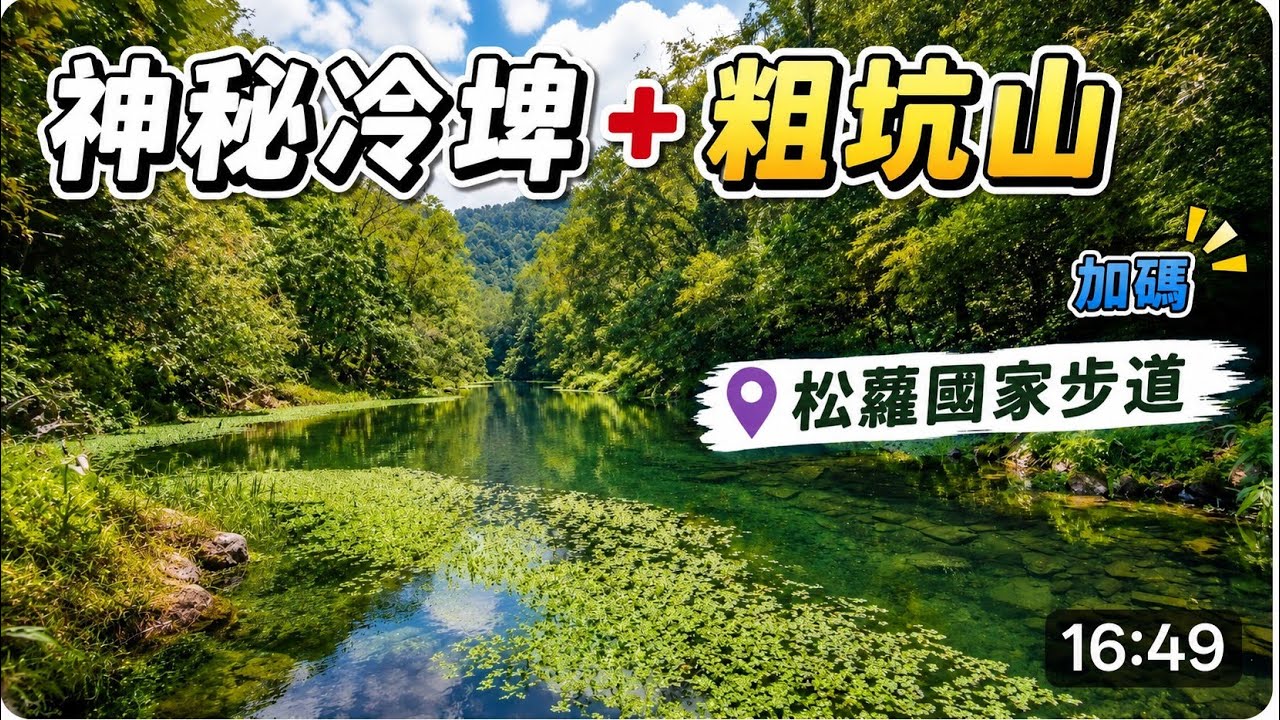[重PO]宜蘭員山神秘冷埤空靈祕境 | 上粗坑山 | 加碼松羅國家步道 | 第一次看見血藤太幸運了👍 | 113/3/15