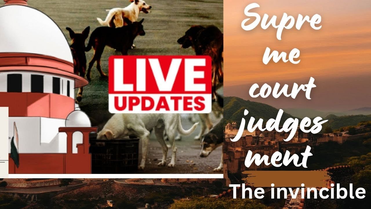 Supreme court judgements 